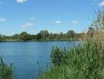 kiessee-single-wandern-berlin.jpg